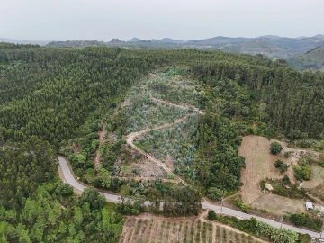 Terreno para Venda em Azueira e Sobral da Abelheira