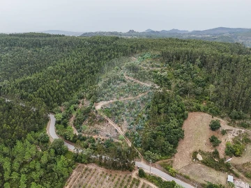 Terreno para Venda em Azueira e Sobral da Abelheira