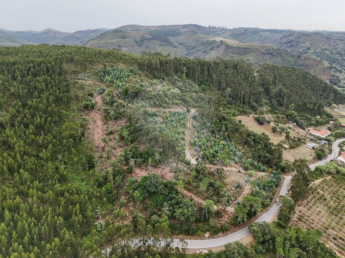 Terreno para Venda em Azueira e Sobral da Abelheira Foto 8