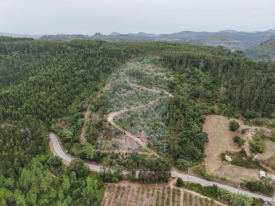 Terreno para Venda em Azueira e Sobral da Abelheira Foto 6