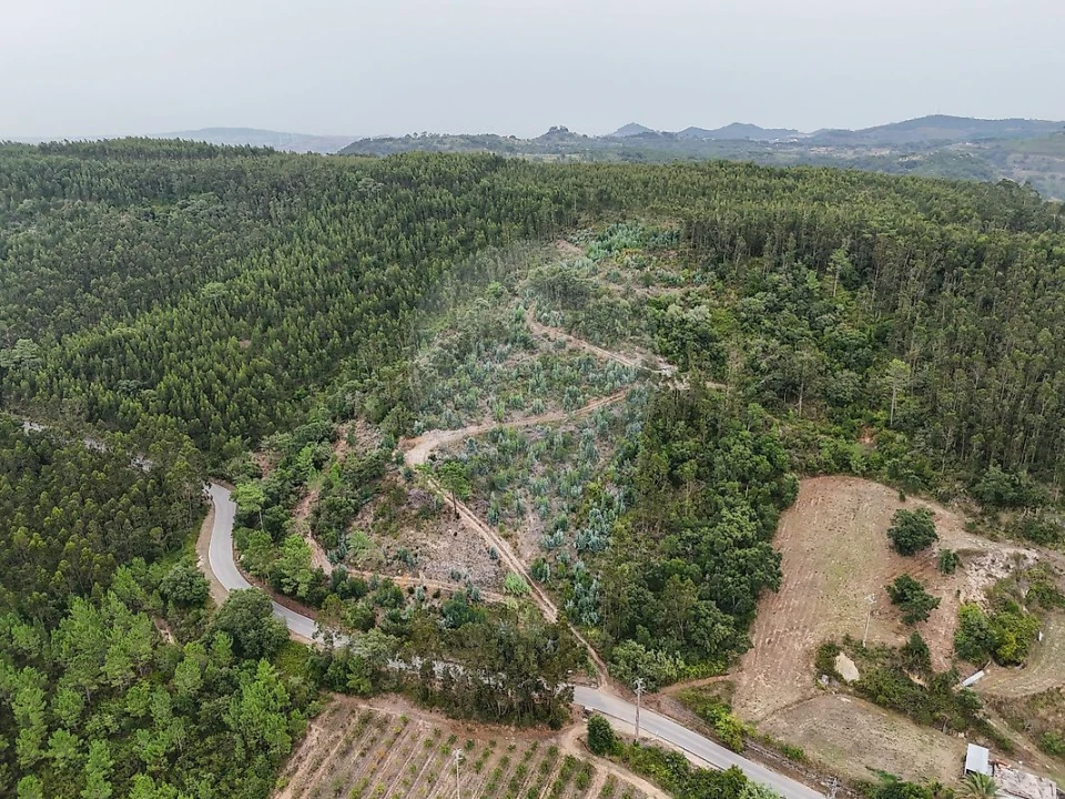 Terreno para Venda em Azueira e Sobral da Abelheira Foto 3