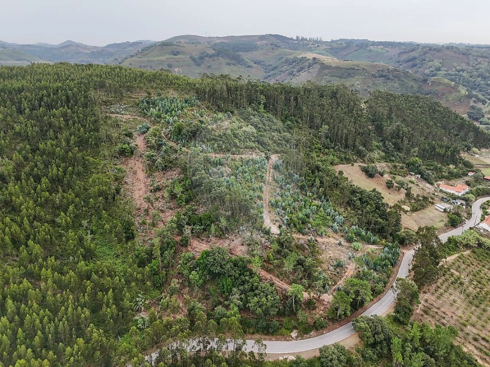 Terreno para Venda em Azueira e Sobral da Abelheira Foto 8