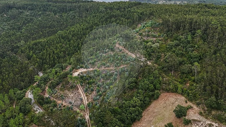 Terreno para Venda em Azueira e Sobral da Abelheira