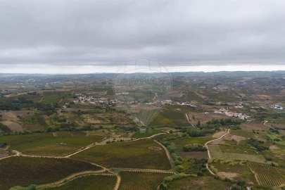 Terreno para Venda em Carvoeira e Carmões