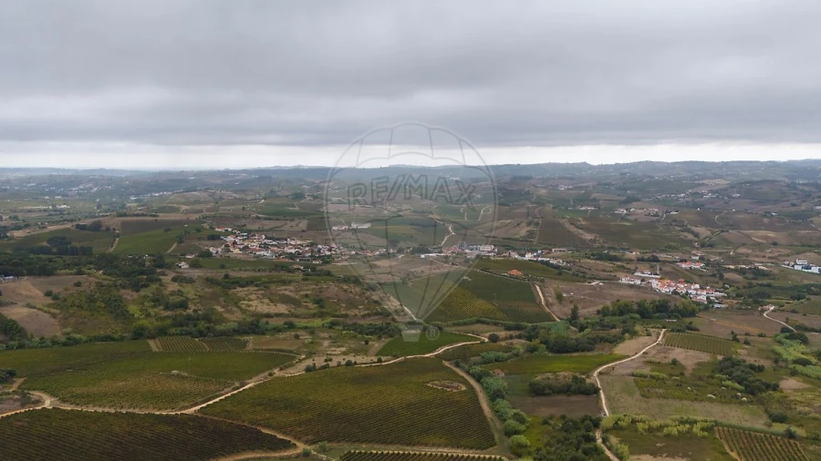 Terreno para Venda em Carvoeira e Carmões