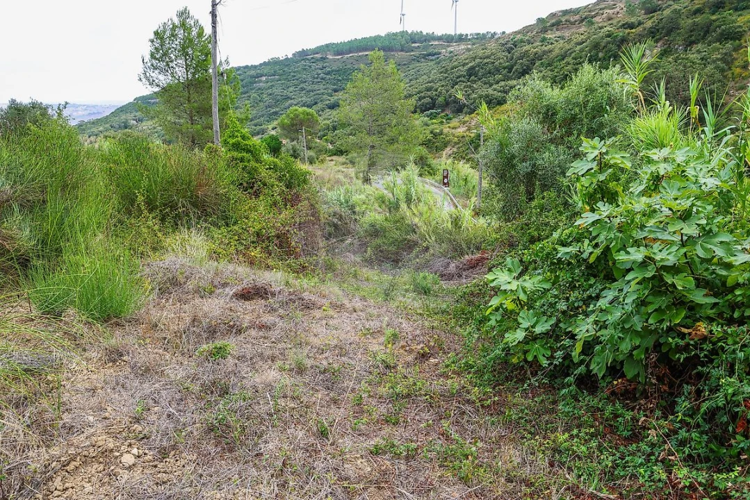 Moradia T1 para Venda em Santiago dos Velhos Foto 10