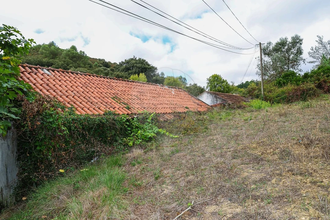 Moradia T1 para Venda em Santiago dos Velhos Foto 7