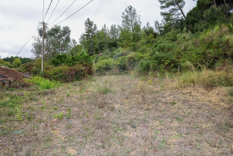 Moradia T1 para Venda em Santiago dos Velhos Foto 8