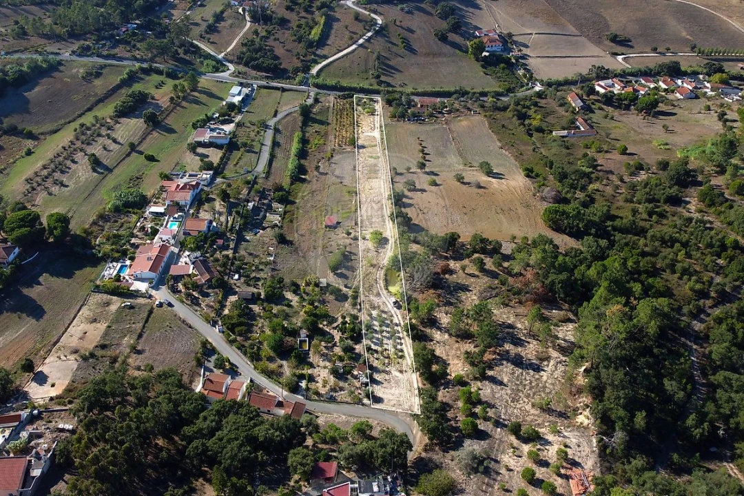 Terreno para Venda em Azambuja Foto 6