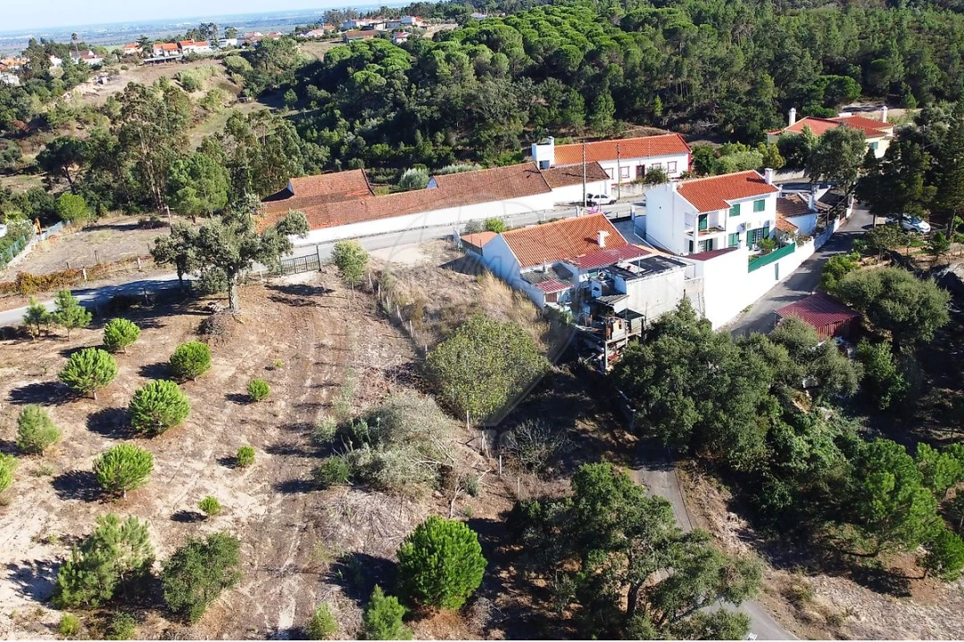 Terreno para Venda em Azambuja Foto 6
