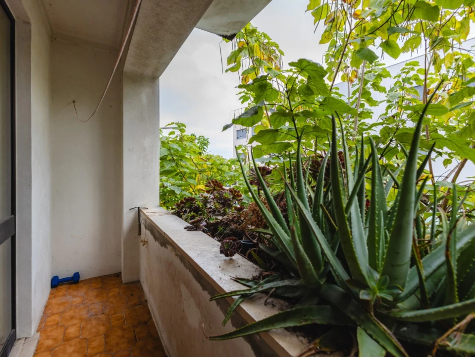 Apartamento T2 para Venda em Cantanhede e Pocariça Foto 8