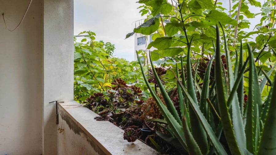 Apartamento T2 para Venda em Cantanhede e Pocariça