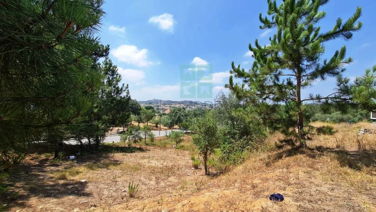 Terreno para Venda em Marvila, Ribeira Santarém, São Salvador, São Nicolau Foto 7