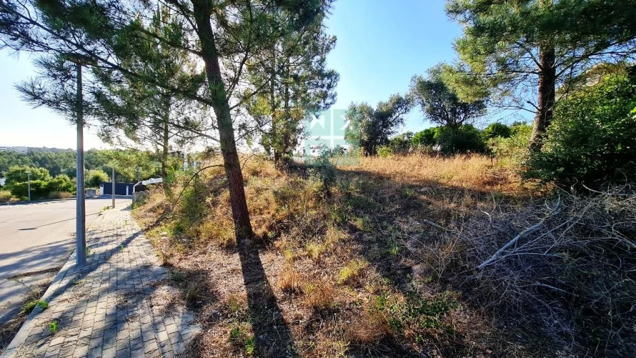 Terreno para Venda em Marvila, Ribeira Santarém, São Salvador, São Nicolau Foto 20