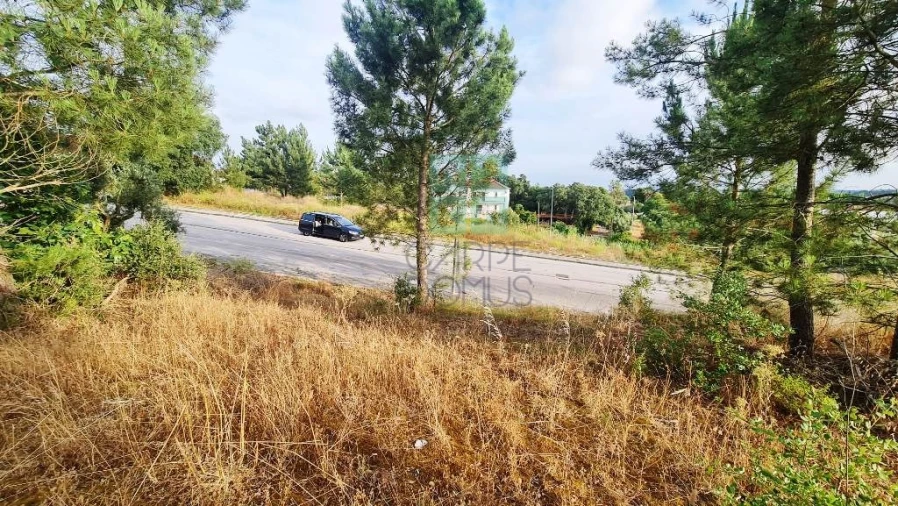 Terreno para Venda em Marvila, Ribeira Santarém, São Salvador, São Nicolau Foto 21