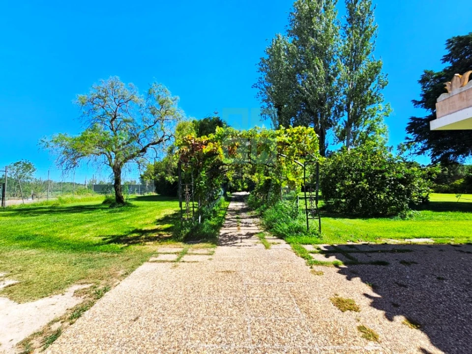 Quinta T10 para Venda em Poceirão e Marateca Foto 28