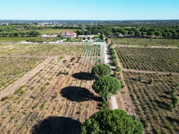 Quinta T10 para Venda em Poceirão e Marateca