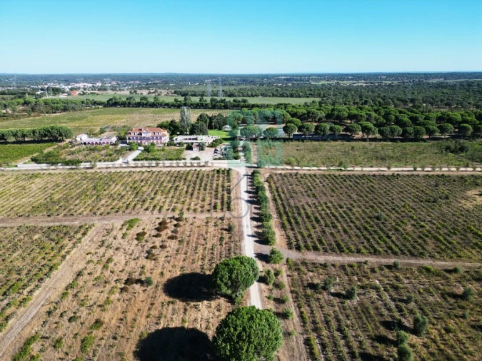 Quinta T10 para Venda em Poceirão e Marateca Foto 7