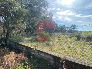 Terreno para Venda em Pico de Regalados, Gondiães e Mós