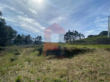 Terreno para Venda em Pico de Regalados, Gondiães e Mós