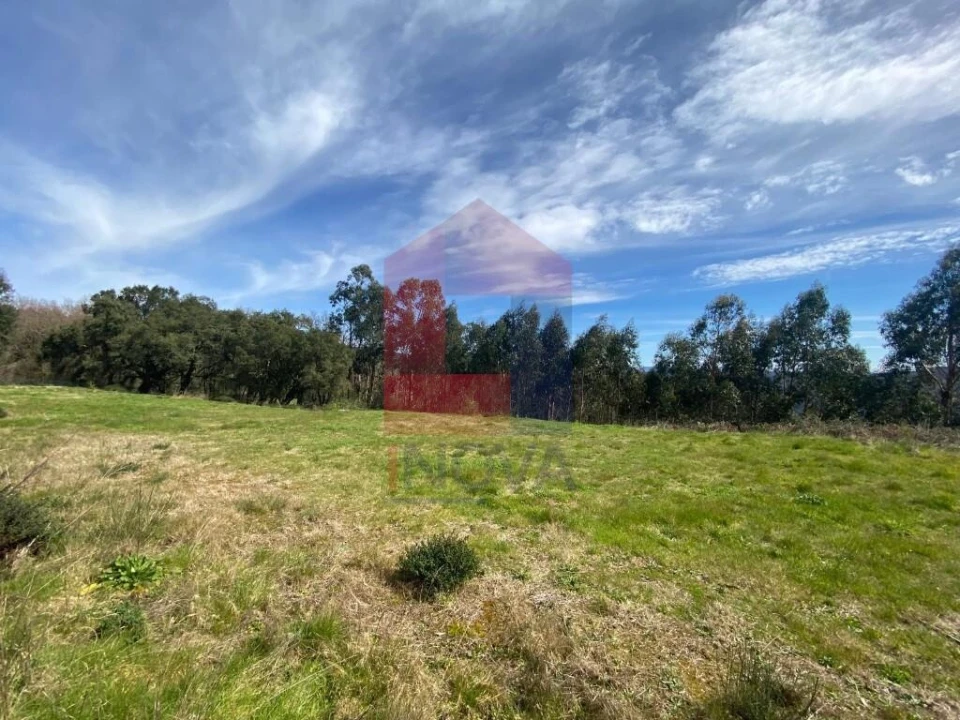 Terreno para Venda em Pico de Regalados, Gondiães e Mós Foto 10