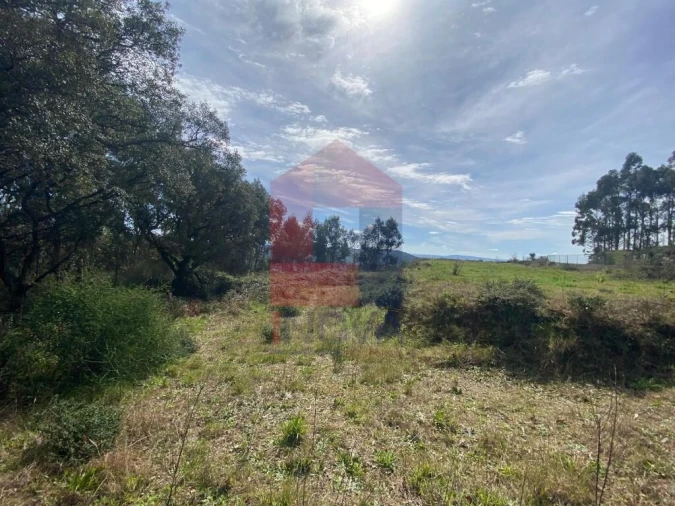 Terreno para Venda em Pico de Regalados, Gondiães e Mós Foto 3