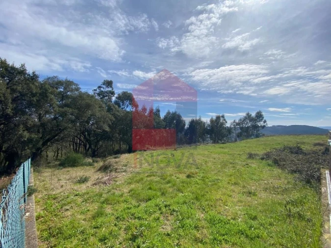 Terreno para Venda em Pico de Regalados, Gondiães e Mós Foto 2