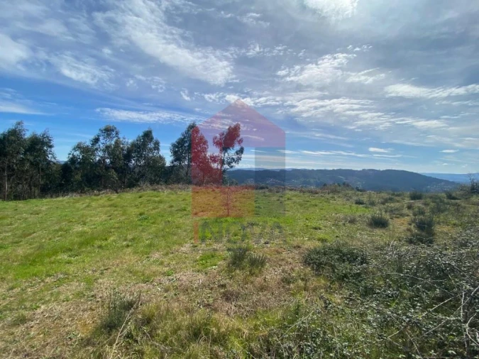 Terreno para Venda em Pico de Regalados, Gondiães e Mós Foto 7