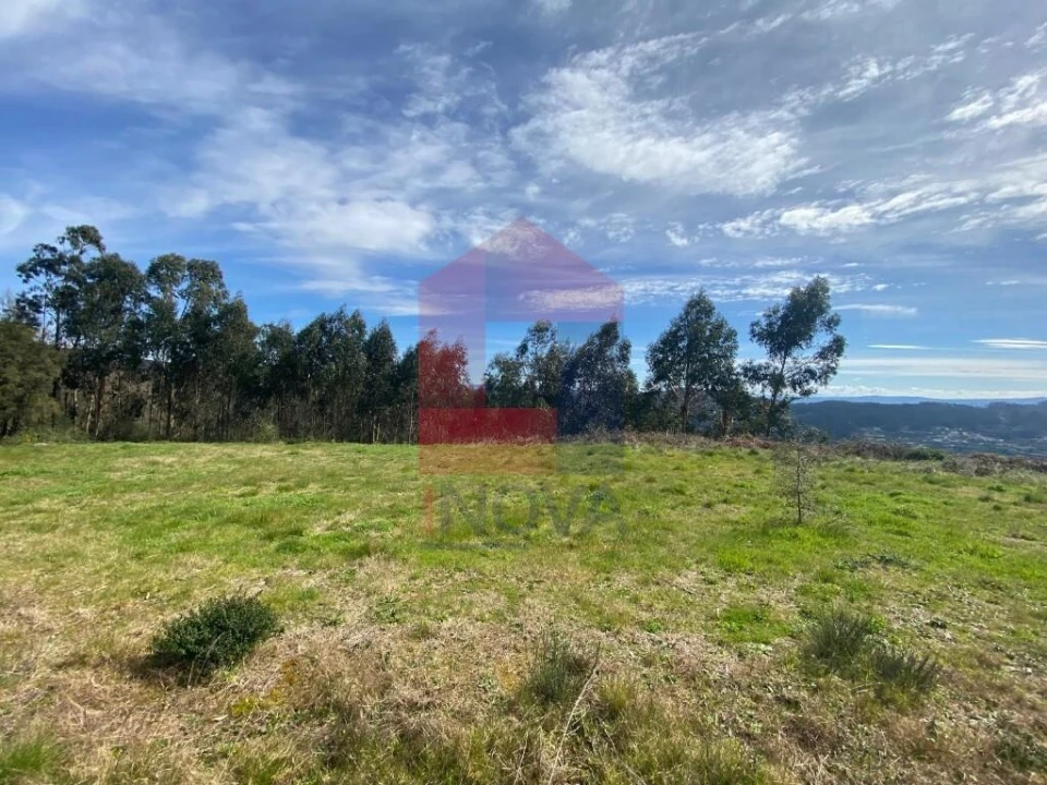 Terreno para Venda em Pico de Regalados, Gondiães e Mós Foto 11