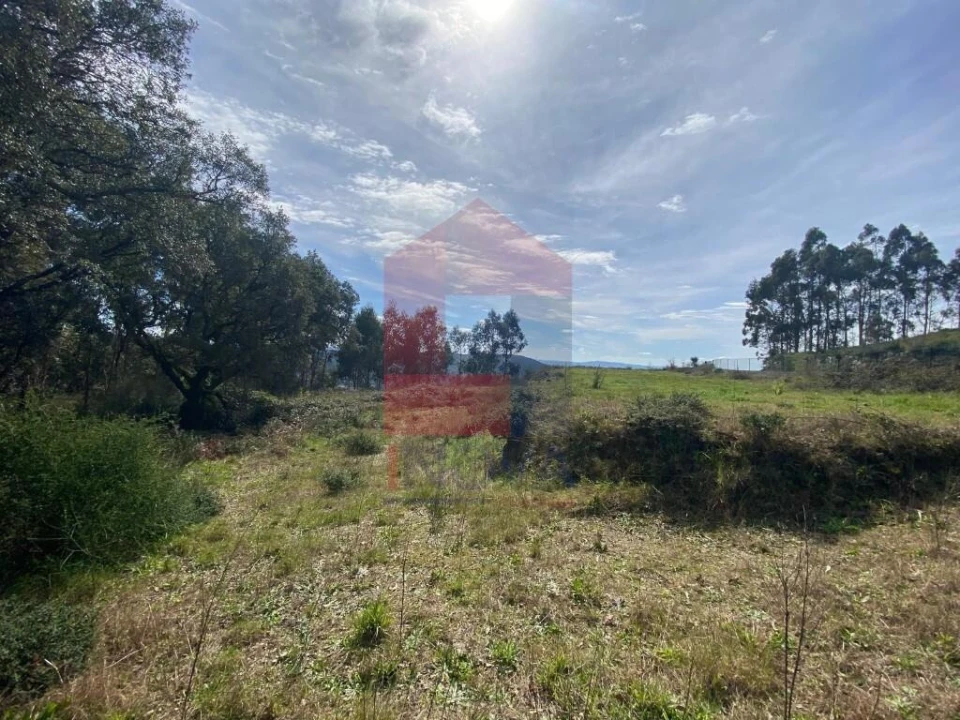Terreno para Venda em Pico de Regalados, Gondiães e Mós Foto 5