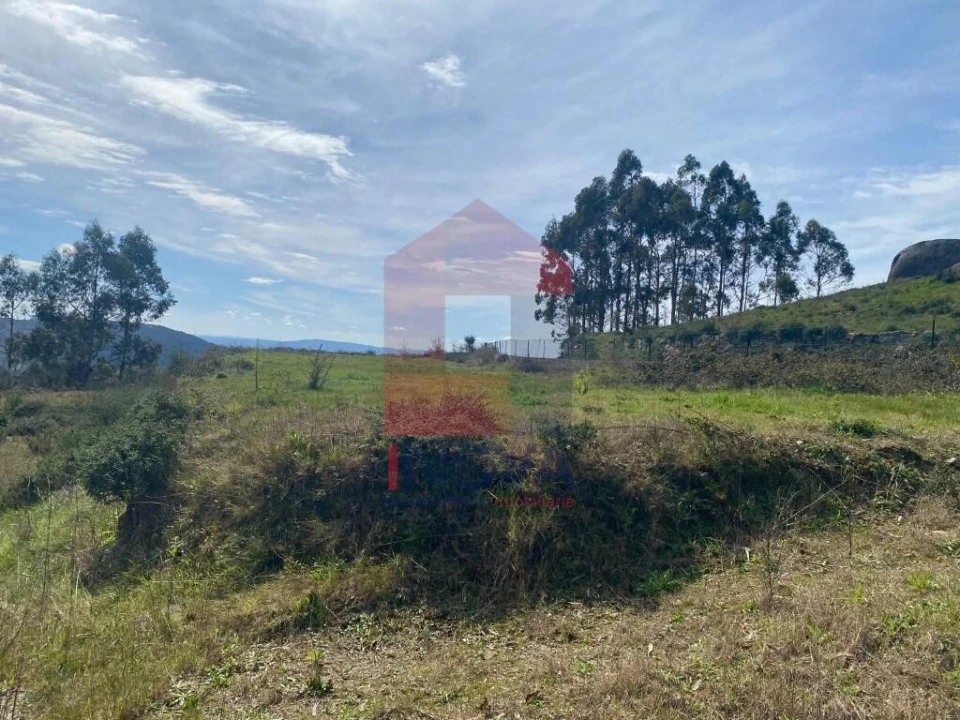 Terreno para Venda em Pico de Regalados, Gondiães e Mós Foto 6