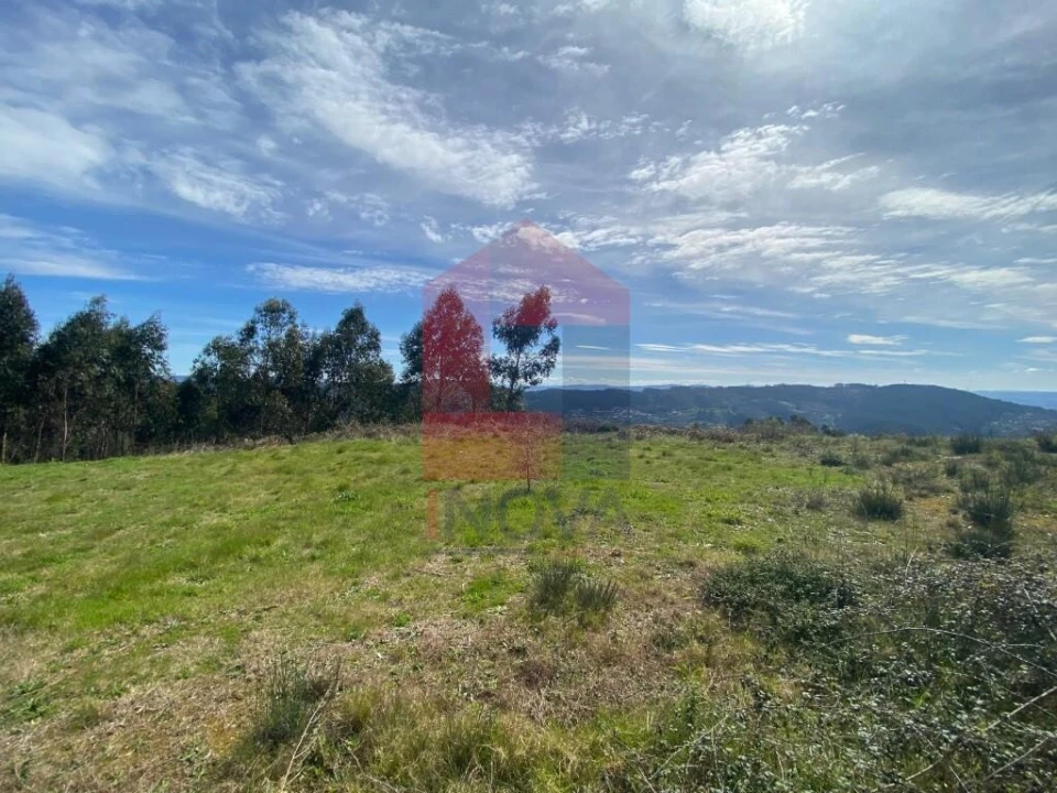 Terreno para Venda em Pico de Regalados, Gondiães e Mós Foto 8