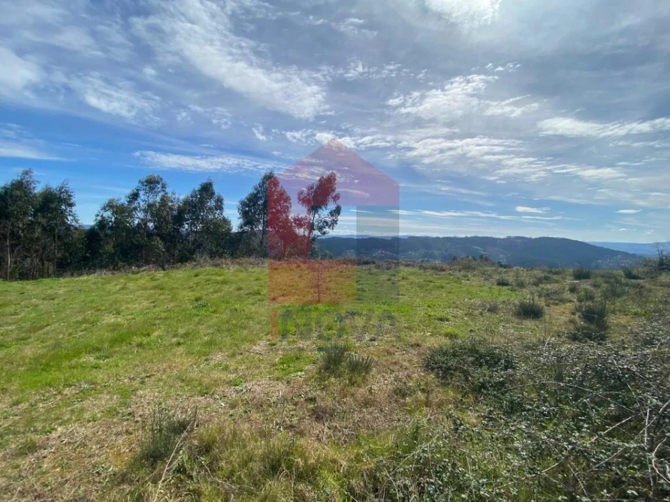 Terreno para Venda em Pico de Regalados, Gondiães e Mós Foto 7