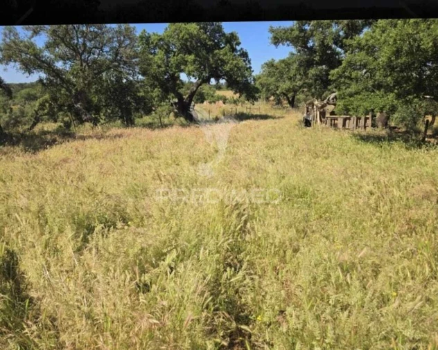 Terreno para Venda em Abela Foto 8