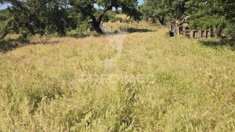 Terreno para Venda em Abela
