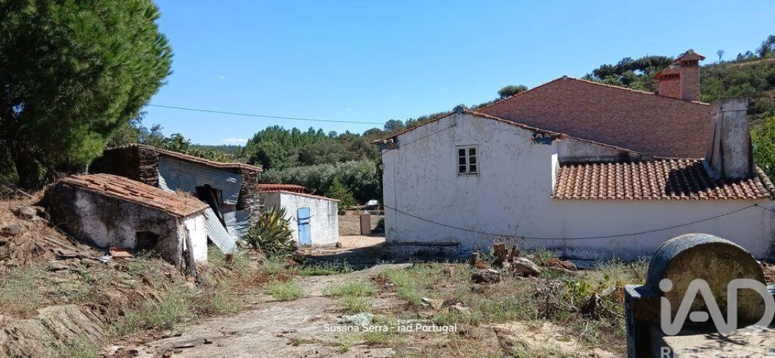 Quinta T3 para Venda em Alegrete Foto 2