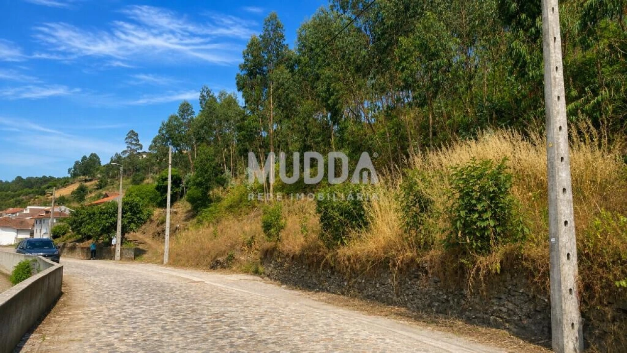 Terreno para Venda em Agrela Foto 4