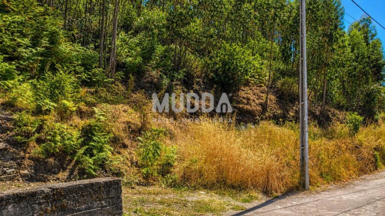 Terreno para Venda em Agrela Foto 3