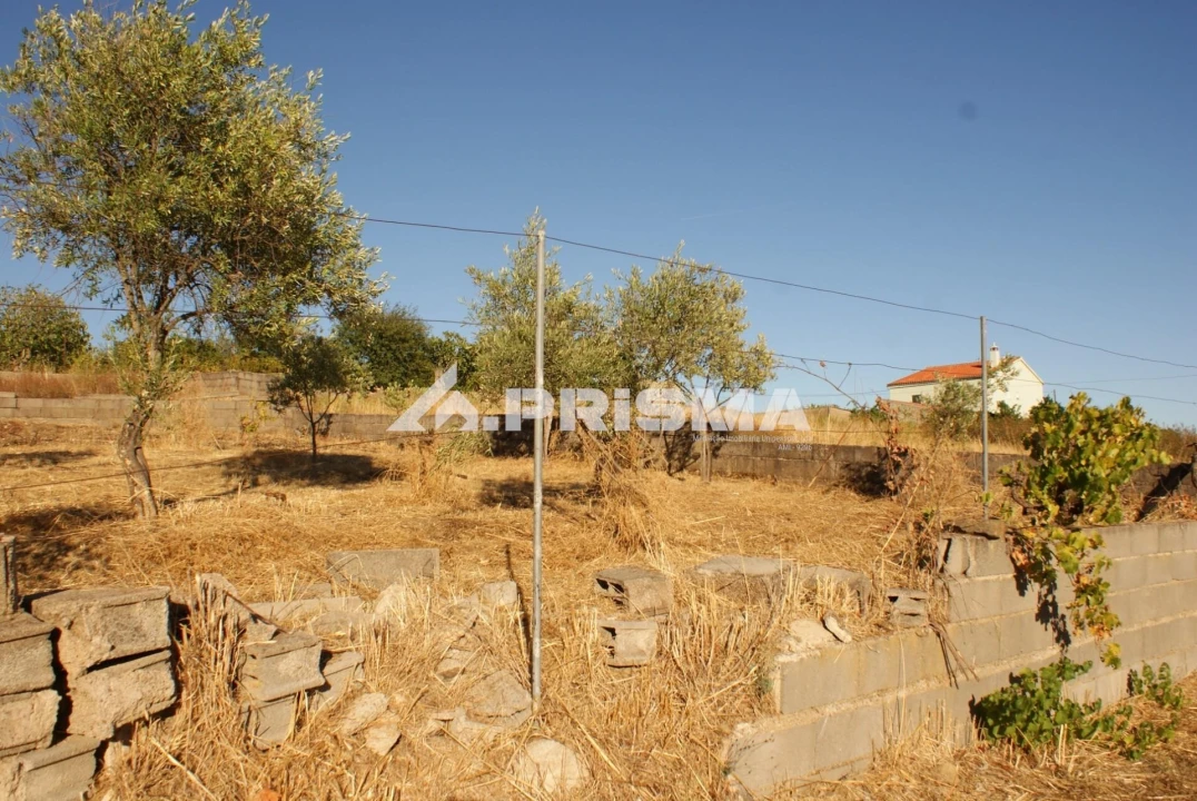 Terreno para Venda em Castelo Branco Foto 10