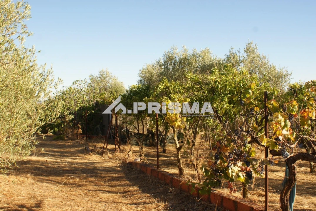 Terreno para Venda em Castelo Branco Foto 4