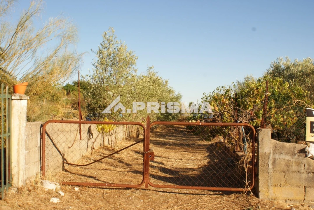 Terreno para Venda em Castelo Branco Foto 3