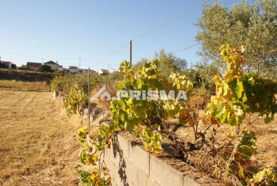 Terreno para Venda em Castelo Branco