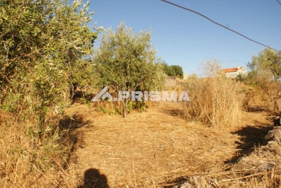 Terreno para Venda em Castelo Branco
