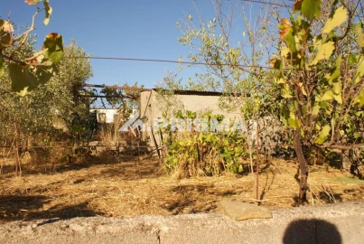 Terreno para Venda em Castelo Branco