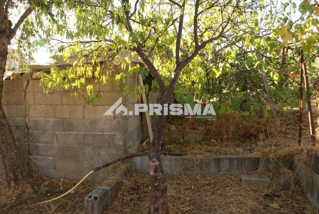 Terreno para Venda em Castelo Branco Foto 17