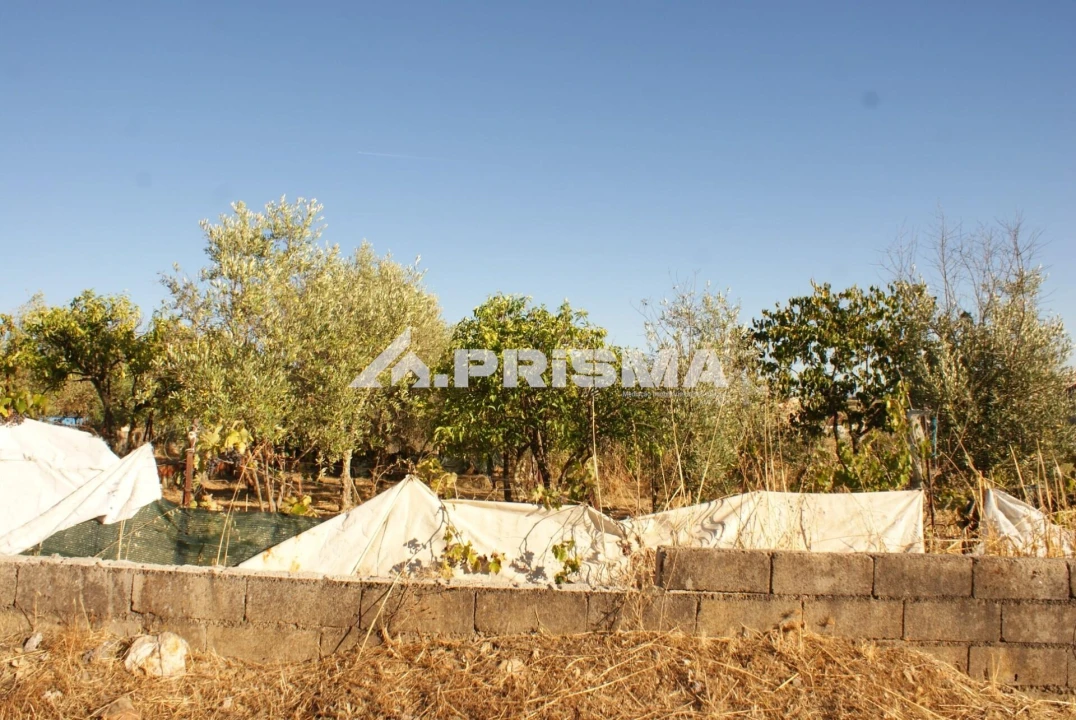 Terreno para Venda em Castelo Branco Foto 2