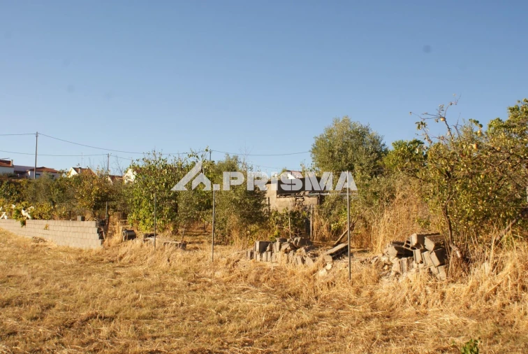 Terreno para Venda em Castelo Branco Foto 13