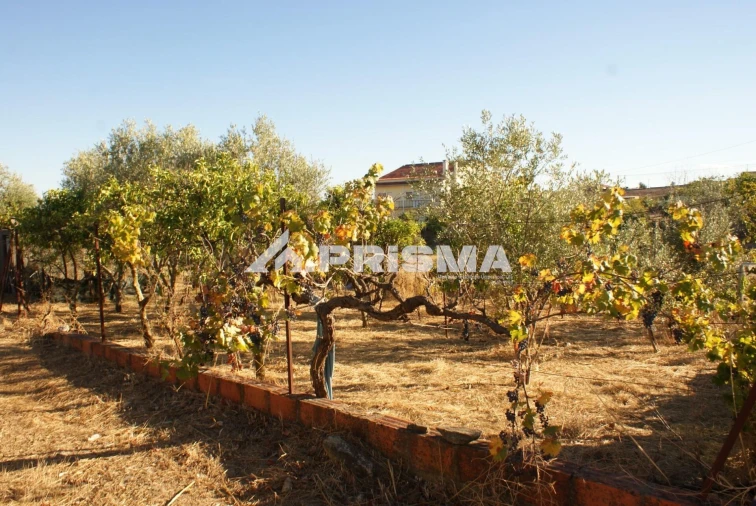 Terreno para Venda em Castelo Branco Foto 5