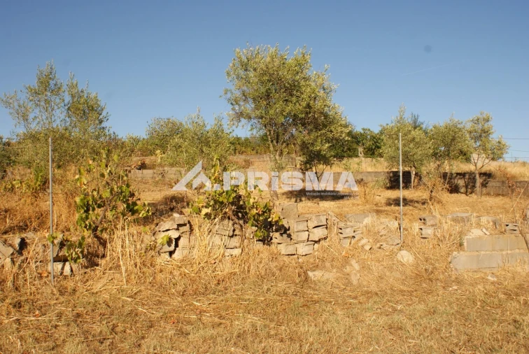 Terreno para Venda em Castelo Branco Foto 14