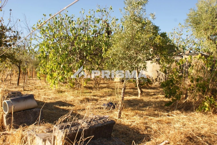 Terreno para Venda em Castelo Branco Foto 8